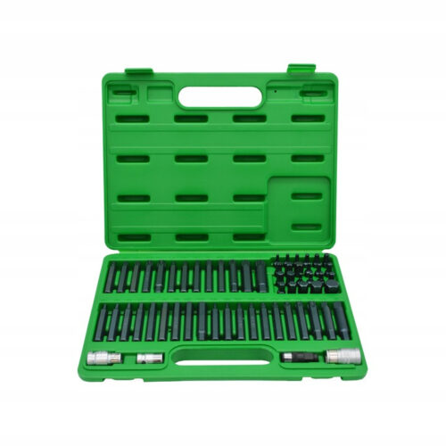 Професійний набір біт TORX, HEX, SPLINE, RIBE, SQ 60ед. TOPTUL GCAI6003